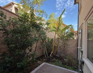 53 Calypso - Photo Thumbnail 30