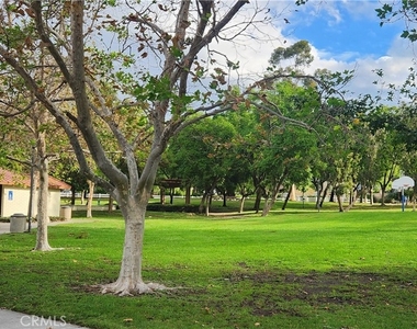 11265 Drake Street - Photo Thumbnail 19