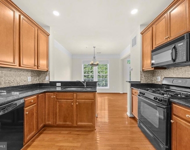 24634 Buttonbush Terrace - Photo Thumbnail 12