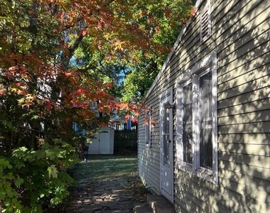 124 Dey Street - Photo Thumbnail 18