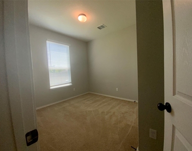 231 Elderberry - Photo Thumbnail 11