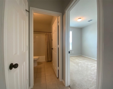 231 Elderberry - Photo Thumbnail 10