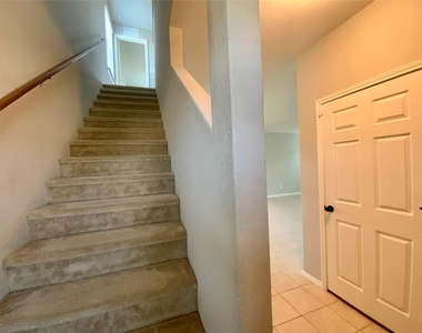 231 Elderberry - Photo Thumbnail 13