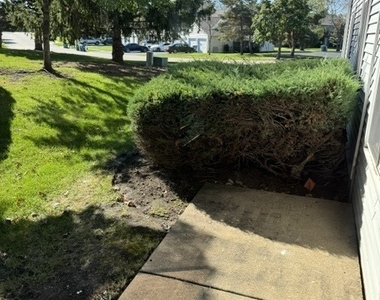 303 Newport Lane - Photo Thumbnail 13