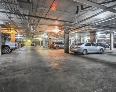 2502 Leon St - Photo Thumbnail 9