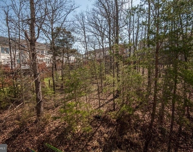 18818 Silverwood Terrace - Photo Thumbnail 20