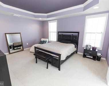 23458 Belvoir Woods Terrace - Photo Thumbnail 16
