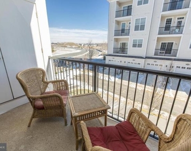 23458 Belvoir Woods Terrace - Photo Thumbnail 18