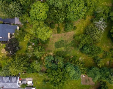 158 Carter Road - Photo Thumbnail 27