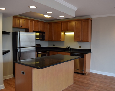 1360 N Sandburg Terrace - Photo Thumbnail 6