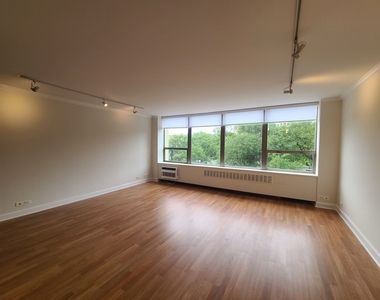 1360 N Sandburg Terrace - Photo Thumbnail 3