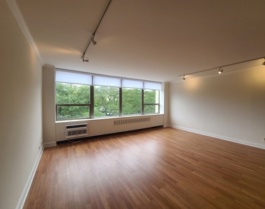 1360 N Sandburg Terrace - Photo Thumbnail 2