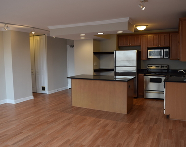 1360 N Sandburg Terrace - Photo Thumbnail 4