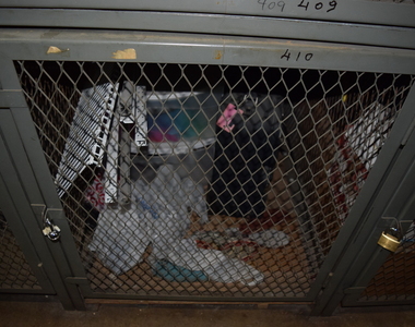 1360 N Sandburg Terrace - Photo Thumbnail 15