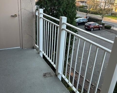 488 Bedford Street - Photo Thumbnail 13