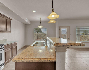 11714 Dos Palmas Drive - Photo Thumbnail 19
