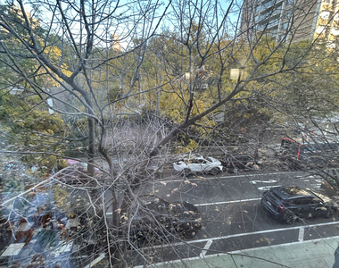 80 Cranberry Street - Photo Thumbnail 2
