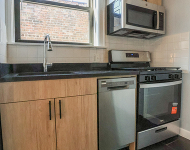 1633 W Lunt Avenue - Photo Thumbnail 1