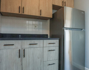 1633 W Lunt Avenue - Photo Thumbnail 2