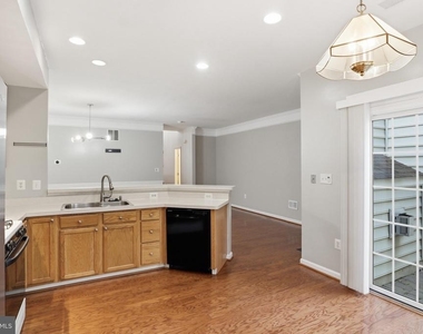 13954 Sawteeth Way - Photo Thumbnail 7