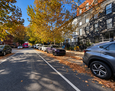 1265 Herkimer Street - Photo Thumbnail 12