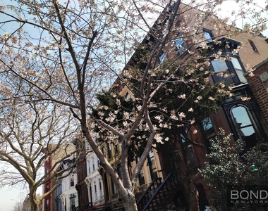 18 Herkimer Street - Photo Thumbnail 11