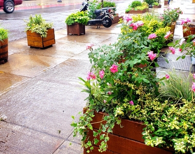 306 Rogers Avenue - Photo Thumbnail 5