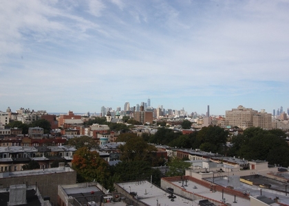 2 Bedrooms, Crown Heights Rental in NYC for $4,100 - Photo 1