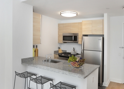 2 Bedrooms, Long Island City Rental in NYC for $6,027 - Photo 1