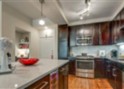 1 Bedroom, Uptown Rental in Dallas for $1,350 - Photo 1