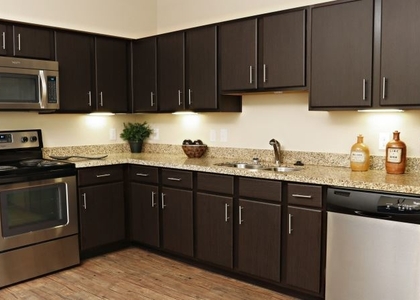 1 Bedroom, St. Edwards Rental in Austin-Round Rock Metro Area, TX for $1,385 - Photo 1
