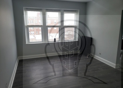 Studio, Rogers Park Rental in Chicago, IL for $1,025 - Photo 1