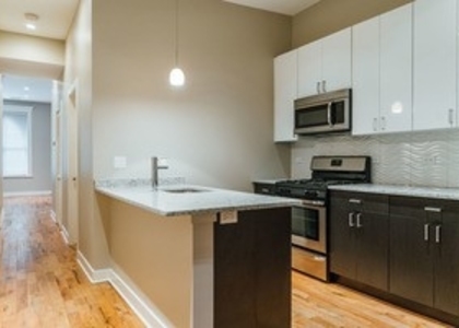 4 Bedrooms, Lake View East Rental in Chicago, IL for $4,000 - Photo 1