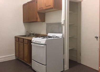 1 Bedroom, Hyde Park Rental in Chicago, IL for $1,295 - Photo 1