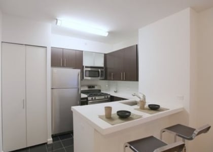 Studio, Downtown Brooklyn Rental in NYC for $3,163 - Photo 1