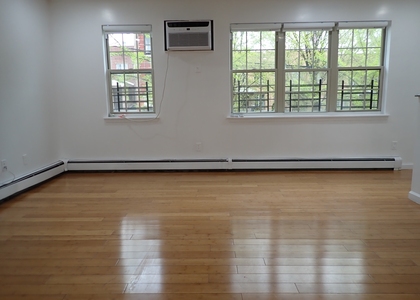 334 Saratoga Ave Brooklyn NY - Photo 1