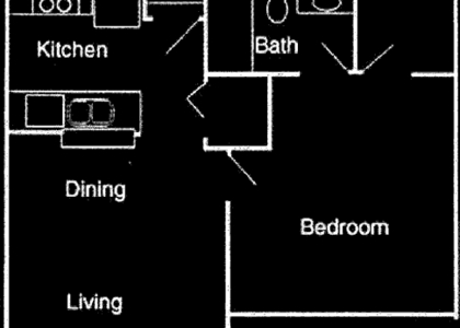 1 Bedroom, New Braunfels Rental in New Braunfels, TX for $900 - Photo 1