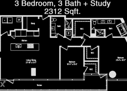 3 Bedrooms, Downtown Austin Rental in Austin-Round Rock Metro Area, TX for $9,395 - Photo 1