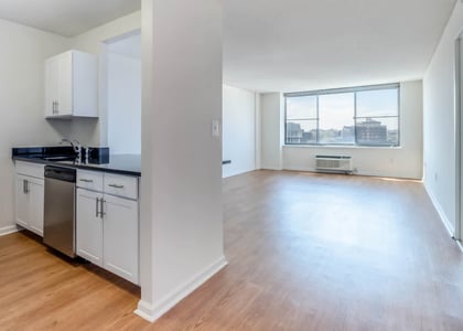 2 Bedrooms, Hudson Rental in NYC for $5,402 - Photo 1