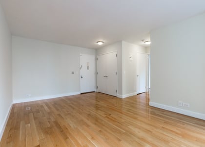 1 Bedroom, Theater District Rental in NYC for $3,933 - Photo 1