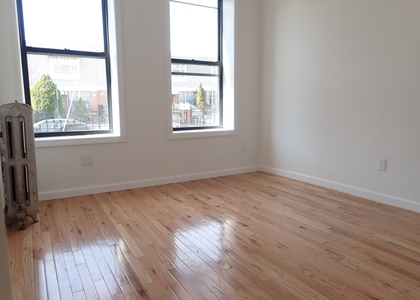 529  Hinsdale Street - Photo 1