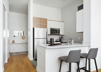 1 Bedroom, Long Island City Rental in NYC for $4,870 - Photo 1