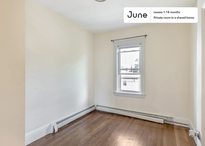 Room, Columbia Point Rental in Boston, MA for $1,125 - Photo 1