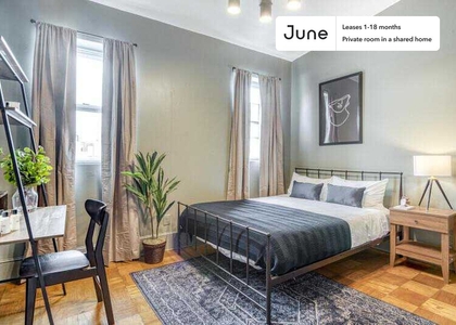 Room, Columbia Heights Rental in Washington, DC for $1,125 - Photo 1