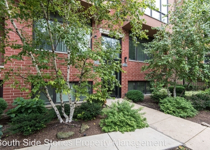 3 Bedrooms, Grand Boulevard Rental in Chicago, IL for $2,635 - Photo 1