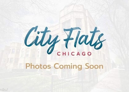 2 Bedrooms, Oak Park Rental in Chicago, IL for $2,595 - Photo 1