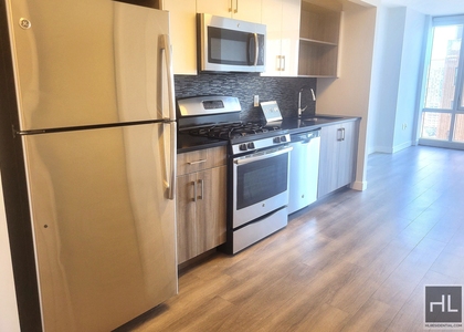 1 Bedroom, Downtown Brooklyn Rental in NYC for $3,800 - Photo 1