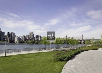 2 Bedrooms, Hunters Point Rental in NYC for $6,310 - Photo 1