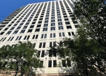 1 Bedroom, South Loop Rental in Chicago, IL for $2,200 - Photo 1