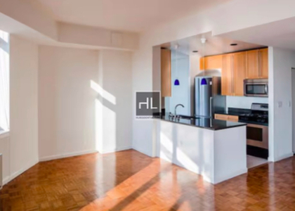 3 Bedrooms, Hunters Point Rental in NYC for $8,343 - Photo 1